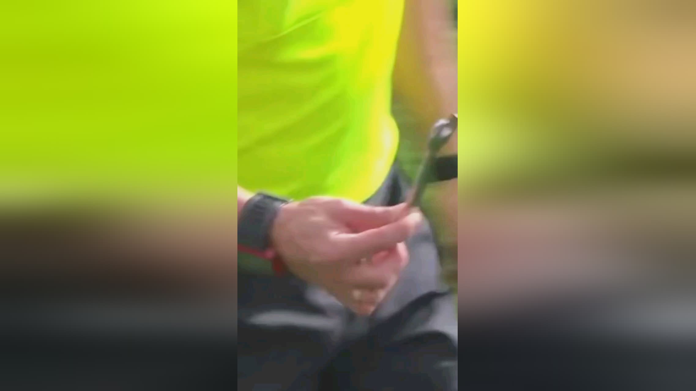 平狮城水手